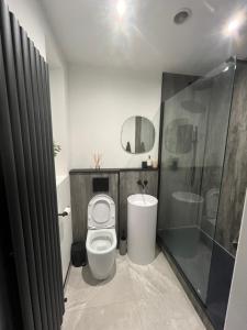 a bathroom with a toilet and a shower at The Bunga, Portrush in Portrush
