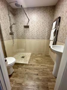 a bathroom with a shower and a toilet and a sink at Mary cottage at Tonylion house Kilnaleck in Cavan