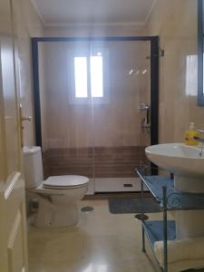 y baño con aseo, ducha y lavamanos. en Apartamento Santa Clara Centro, en Antequera