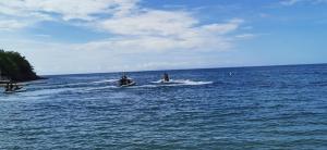 Foto sihtkohas Rivière-Pilote asuva majutusasutuse VILLA ELEM f 3 Hibiscus galeriist +16 fotot