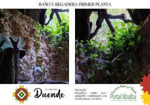 a collage of two pictures of a plant at Portal Xibalba in Playa del Carmen