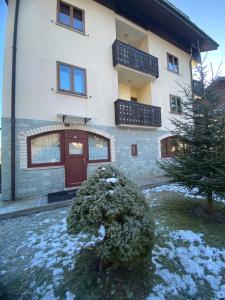 a house with a bush in front of it at Mountain Apartments Tarvisio in Tarvisio