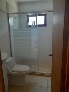 La salle de bains est pourvue de toilettes et d'une douche en verre. dans l'établissement Casa en Punta Puyai, à Papudo