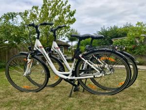 Ποδηλασία στο Apartment Pond View Comfortable Vacation Home ή στη γύρω περιοχή