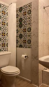 y baño con aseo y ducha. en Cygnus Hostel, en Valdivia