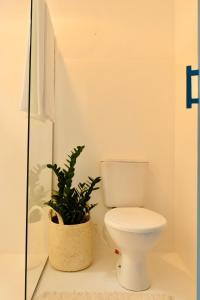 La salle de bains est pourvue de toilettes et d'une plante en pot. dans l'établissement Villa Joá - Casa, à Trancoso