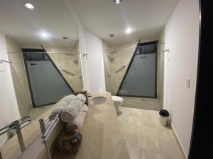 een badkamer met een toilet en een douche bij Room in BB - Suite Presidencial en hotel proximo al aeropuerto in San Antonio