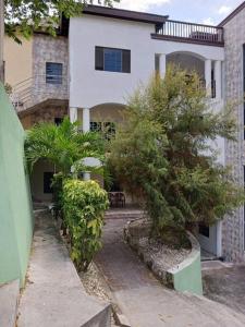 a house with trees and bushes in front of it at Willow tree quiet and peaceful in Montego Bay