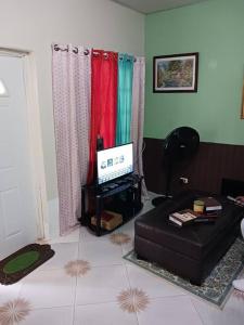 a living room with a couch and a television at Willow tree quiet and peaceful in Montego Bay