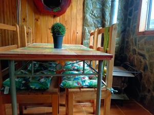 a table with a potted plant on top of it at Cabañas costa maule in Constitución