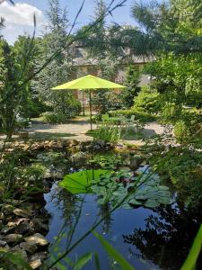un paraguas amarillo sentado en la parte superior de un estanque en BALATON ART Guesthouse, en Balatonszemes