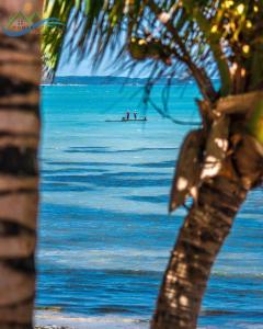 Foto da galeria de B&B Beach House Pousada Exclusiva pés na água Pontal do Peba única em Alagoas em Pontal do Peba