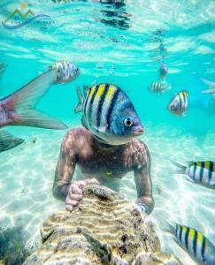 Foto da galeria de B&B Beach House Pousada Exclusiva pés na água Pontal do Peba única em Alagoas em Pontal do Peba