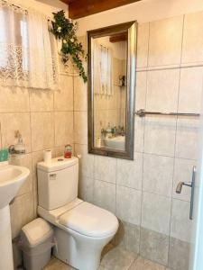 La salle de bains est pourvue de toilettes, d'un lavabo et d'un miroir. dans l'établissement Sylvia's House - a unique waterfront location, à Kokkari