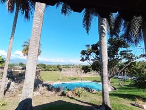 a swimming pool between two palm trees at FINCA LA ESPERANZA 