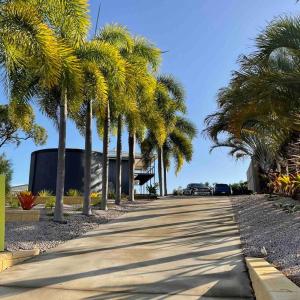 a row of palm trees on a sidewalk at Nautilus @Hydeaway Bay/ Hideaway Bay in Hideaway Bay