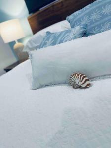 a seashell sitting on top of a bed with pillows at Nautilus @Hydeaway Bay/ Hideaway Bay in Hideaway Bay