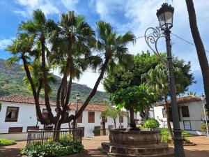 a street light and palm trees in front of a building at MONIS ATLANTIC TERRACE in Icod de los Vinos