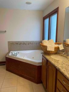 a bathroom with a bath tub and a sink at Urbandale Ranch in Urbandale
