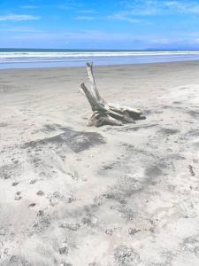 un tronco de árbol en la arena en una playa en Glamping La Isla Bonita (Isla Portete, Ecuador) en Zapotal
