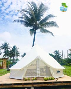biały namiot na przystani z palmą w obiekcie Glamping La Isla Bonita (Isla Portete, Ecuador) w mieście Zapotal