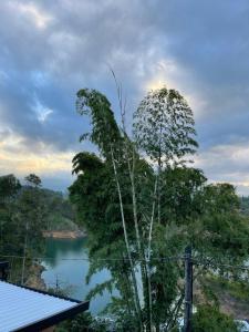 un árbol delante de un cuerpo de agua en Hermoso apartamento en Guatape Antioquia, en Guatapé