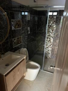 a bathroom with a shower and a toilet and a sink at Hermoso apartamento en Guatape Antioquia in Guatapé