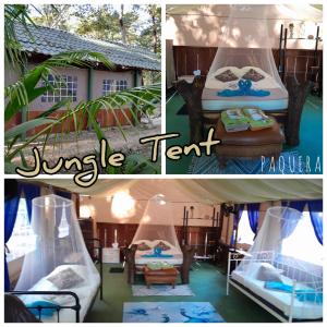 Fotografie z fotogalerie ubytování Fully Furnished FAMILY JUNGLE TENT, Latino Glamping Paquera v destinaci Paquera