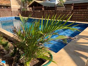 een palmboom naast een zwembad bij BEACH HOUSE - Suite 2 - NA PRAIA -BEACHFRONT in Barra Grande