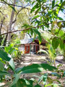 a house in the middle of a forest at Fully Furnished FAMILY JUNGLE TENT, Latino Glamping Paquera in Paquera