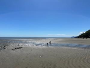 two people standing in the water on a beach at Summerspring Beachfront Accommodation in Takaka