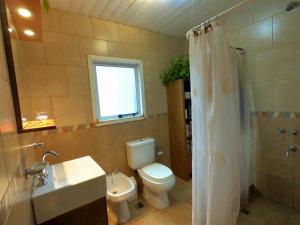 uma casa de banho com um WC, um lavatório e um chuveiro em Casas Nahuilen em San Martín de los Andes