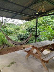 una mesa de picnic de madera y una hamaca bajo un dosel en Natural paradise, en Turrialba