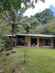 a house with a palm tree in front of it at Natural paradise in Turrialba