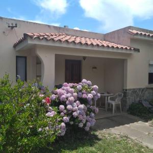 uma casa com flores roxas na frente em Piriápolis a 4 cuadras de playa,"Las Hortensias" em Piriápolis