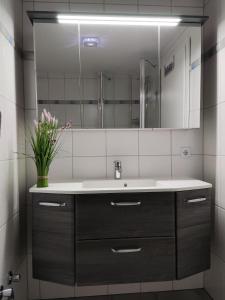 a bathroom with a sink and a mirror at DUeNENHOF-4 in Olsdorf