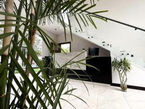 an office with a staircase and a plant at OCEAN DRIVE LODGE in Montañita