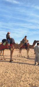 two men are riding on camels in the desert at Nomadic Backpackers Hostel in Jaisalmer