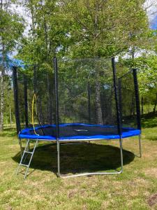ein Trampolin mit blauer Spitze im Gras in der Unterkunft Cabaña estilo mediterránea in Pucón