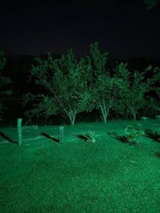 um campo verde com árvores e uma cerca à noite em Chalé aconchegante em Itu