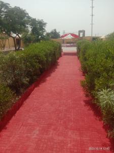 a red tiled path with bushes on either side at Awar Desert Safari in Jaisalmer