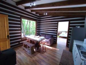 sala de estar con mesa y sofá en CONCEPTO GLAMPING - DOMOS CONGUILLIO, en Melipeuco