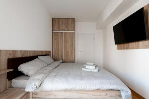 1 dormitorio con 1 cama y TV de pantalla plana en Luxury Apartment Adrianna 2, en Skopje
