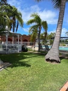 a yard with palm trees and a gazebo at Castle Motor Lodge in Bowen