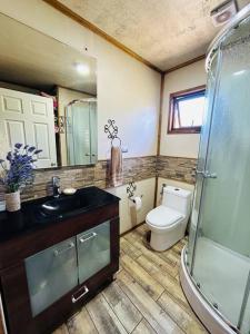 a bathroom with a toilet and a sink and a shower at Cabaña Puerto Octay in Puerto Octay