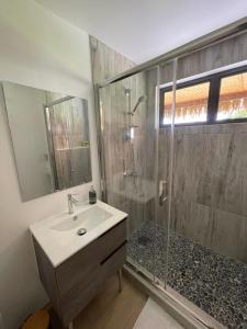 a bathroom with a sink and a shower with a mirror at Bungalow Faré Miti Vairao in Vairao