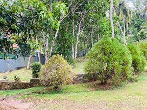 a garden with trees and bushes in front of a house at Green nature villa in Hapugala