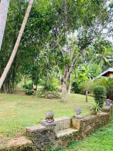 un banco de piedra en un parque con árboles al fondo en Green nature villa en Hapugala