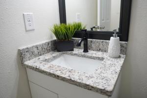 a bathroom counter with a sink and a mirror at Jay's Cozy Escape in Tampa