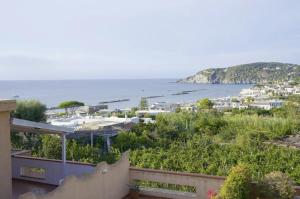 Gambar di galeri bagi Iodio Studio - Cozy home with pool di Ischia